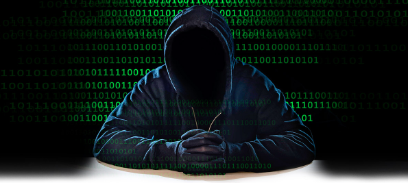 2016 Hacker Survey Report