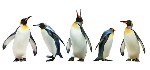 LinuxONE is the Best Choice for Linux Workloads?